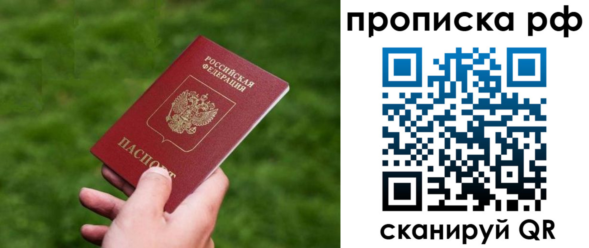 прописка поиск в Ефремове